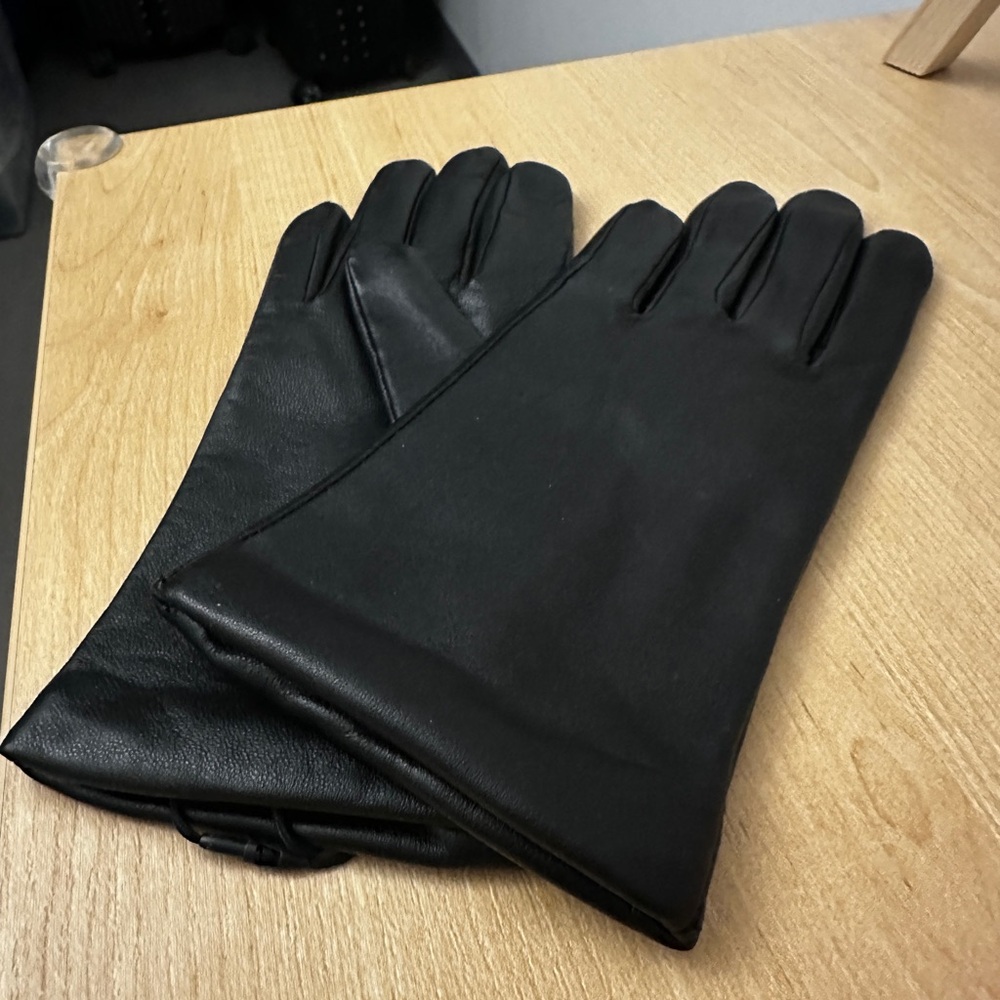 Aritzia Babaton Leather Gloves